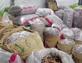أنواع التمور بكفر الشيخ