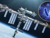 الفيروسات والبكتيريا خارج الكوكب