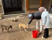 تحصين الكلاب