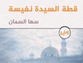 رواية قطة السيدة نفيسة