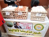 كرتونة البيض بكفر الشيخ ب 110 جنيه