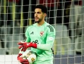 مصطفى شوبير