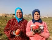 الايادى الناعمة تحصد الخير