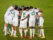 فريق المصري