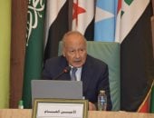 الأمين العام لجامعة الدول العربية أحمد أبو الغيط 