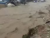 سيول فى سوريا