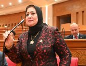 النائبة سحر صدقى عضو مجلس النواب
