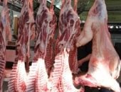 أسعار اللحوم بكفر الشيخ الجمعة 13 فبراير 2026    