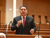 النائب عماد الغنيمي