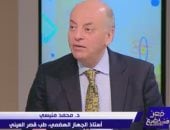 الدكتور محمد منيسى