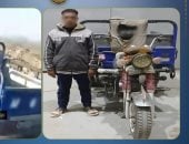 سحل "كلب" خلف تروسيكل يهز الشرقية