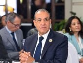 وزير الخارجية بدر عبد العاطى