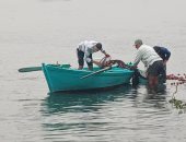 صيد الزريعة في عزبة البرج