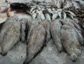 تنوع فى الأصناف وإقبال على سوق بورسعيد