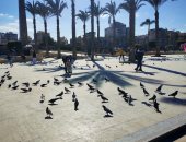 استمتاع الاهالى في ميدان الحمام