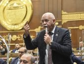 حازم الجندى 