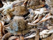 سوق الإسكندرية