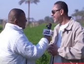 المخرج أحمد شفيق