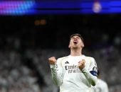 فيدي فالفيردي