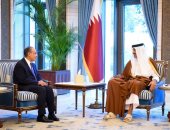 وزير الخارجية يلتقى أمير قطر