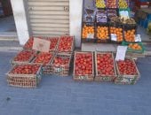 أسعار الخضراوات والفواكه بالغربية اليوم الثلاثاء.. الطماطم بـ 35 جنيه