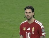 دومينيك سوبوسلاى