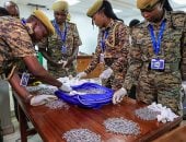 محاولة تهريب نمل عبر مطار نيروبي