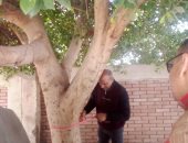 مبادرة 100 مليون شجرة