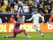 مباراة البرازيل وفرنسا