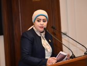  النائبة جيهان شاهين 