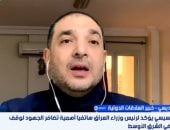 طارق البرديسي، خبير العلاقات الدولية