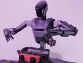 الروبوت الشبيه بالبشر