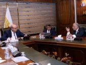 جانب من الاستقبال