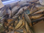  ملاحقات تموينية مكثفة تطارد فسيخ الرصيف مجهول المصدر