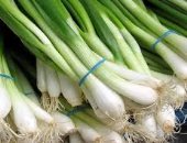البصل الأخضر ضرورى لصحتك