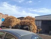  تعطل حركة المرور على طريق المحلة المنصورة