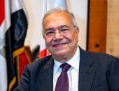 النائب الدكتور عصام خليل عضو مجلس الشيوخ