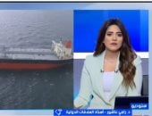 مداخلة الدكتور رامي عاشور