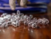 القبض على صيني حاول تهريب آلاف النمل والحكم عليه بالسجن