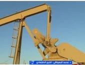 مداخلة الدكتور محمد البهواشي