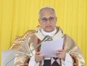 بابا الفاتيكان البابا ليو الرابع عشر 