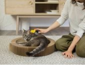 وبر الحيوانات