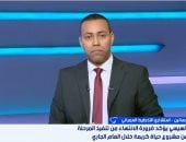 مداخلة الدكتور سعيد حسانين