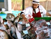 منافذ البيع الحكومية 