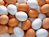 سعر البيض - أرشيفية