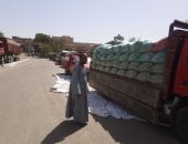توريد القمح فى أسيوط