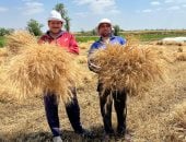 فرحة المزارعين