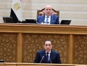 رئيس الوزراء فى مجلس النواب