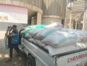 توريد القمح