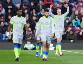 مانشستر سيتي